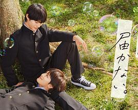 记忆之夜剧情解析海报剧照