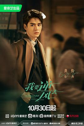 谷歌浏览器海报剧照